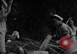 Image of native women Okinawa Ryukyu Islands, 1955, second 41 stock footage video 65675054144