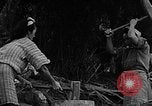 Image of native women Okinawa Ryukyu Islands, 1955, second 42 stock footage video 65675054144