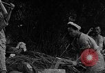 Image of native women Okinawa Ryukyu Islands, 1955, second 43 stock footage video 65675054144