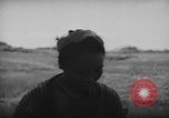 Image of native women Okinawa Ryukyu Islands, 1955, second 56 stock footage video 65675054144