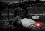 Image of native children Okinawa Ryukyu Islands, 1955, second 58 stock footage video 65675054145