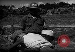 Image of native children Okinawa Ryukyu Islands, 1955, second 59 stock footage video 65675054145