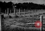 Image of Japanese cemetery Okinawa Ryukyu Islands, 1955, second 3 stock footage video 65675054146