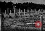 Image of Japanese cemetery Okinawa Ryukyu Islands, 1955, second 4 stock footage video 65675054146
