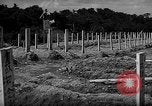 Image of Japanese cemetery Okinawa Ryukyu Islands, 1955, second 5 stock footage video 65675054146