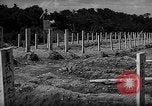 Image of Japanese cemetery Okinawa Ryukyu Islands, 1955, second 6 stock footage video 65675054146