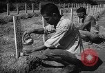 Image of Japanese cemetery Okinawa Ryukyu Islands, 1955, second 18 stock footage video 65675054146