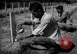 Image of Japanese cemetery Okinawa Ryukyu Islands, 1955, second 20 stock footage video 65675054146