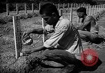 Image of Japanese cemetery Okinawa Ryukyu Islands, 1955, second 22 stock footage video 65675054146