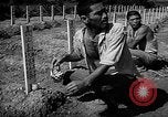 Image of Japanese cemetery Okinawa Ryukyu Islands, 1955, second 24 stock footage video 65675054146
