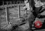 Image of Japanese cemetery Okinawa Ryukyu Islands, 1955, second 25 stock footage video 65675054146