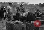 Image of native people Okinawa Ryukyu Islands, 1955, second 11 stock footage video 65675054149