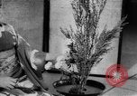 Image of Japanese culture Japan, 1942, second 58 stock footage video 65675054154