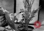Image of Japanese culture Japan, 1942, second 59 stock footage video 65675054154