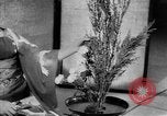 Image of Japanese culture Japan, 1942, second 60 stock footage video 65675054154