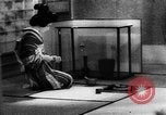 Standbild japanische Kultur Japan, 1942, aus Sekunde 33 historischem Filmmaterial Videoclip 65675054155