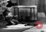 Standbild japanische Kultur Japan, 1942, aus Sekunde 35 historischem Filmmaterial Videoclip 65675054155