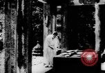 Immagine di La cultura giapponese Giappone, 1942, secondo 9 filmato di repertorio 65675054156