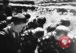Image of Japanese culture Japan, 1942, second 6 stock footage video 65675054158