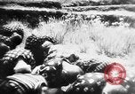 Image of Japanese culture Japan, 1942, second 8 stock footage video 65675054158