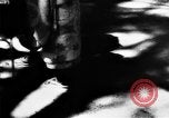 Image of Japanese culture Japan, 1942, second 37 stock footage video 65675054160