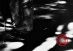 Image of Japanese culture Japan, 1942, second 38 stock footage video 65675054160