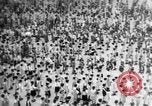Image of Japanese culture Japan, 1942, second 1 stock footage video 65675054165