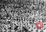 Image of Japanese culture Japan, 1942, second 4 stock footage video 65675054165