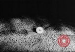 Image of Japanese culture Japan, 1942, second 22 stock footage video 65675054168