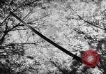 Image of Japanese culture Japan, 1941, second 1 stock footage video 65675054169