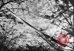 Image of Japanese culture Japan, 1941, second 7 stock footage video 65675054169