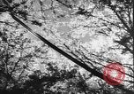 Image of Japanese culture Japan, 1941, second 8 stock footage video 65675054169