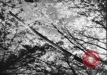 Image of Japanese culture Japan, 1941, second 9 stock footage video 65675054169