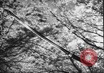 Image of Japanese culture Japan, 1941, second 10 stock footage video 65675054169