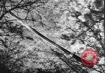 Image of Japanese culture Japan, 1941, second 11 stock footage video 65675054169
