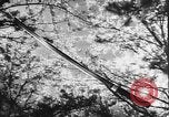 Image of Japanese culture Japan, 1941, second 12 stock footage video 65675054169