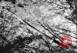 Image of Japanese culture Japan, 1941, second 13 stock footage video 65675054169