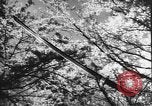 Image of Japanese culture Japan, 1941, second 14 stock footage video 65675054169