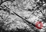 Image of Japanese culture Japan, 1941, second 16 stock footage video 65675054169