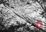 Image of Japanese culture Japan, 1941, second 17 stock footage video 65675054169