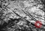 Image of Japanese culture Japan, 1941, second 18 stock footage video 65675054169