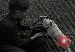 Image of better community Georgia United States USA, 1946, second 35 stock footage video 65675054177
