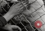 Image of better community Georgia United States USA, 1946, second 36 stock footage video 65675054177