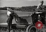 Immagine di Comunità meglio Georgia United States USA, 1946, secondo 6 filmato di repertorio 65675054178