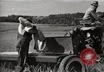 Immagine di Comunità meglio Georgia United States USA, 1946, secondo 8 filmato di repertorio 65675054178
