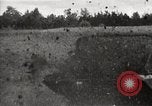 Immagine di Comunità meglio Georgia United States USA, 1946, secondo 39 filmato di repertorio 65675054178