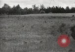 Immagine di Comunità meglio Georgia United States USA, 1946, secondo 41 filmato di repertorio 65675054178