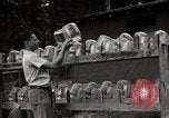 Immagine di Comunità meglio Georgia United States USA, 1946, secondo 56 filmato di repertorio 65675054178