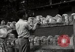 Immagine di Comunità meglio Georgia United States USA, 1946, secondo 57 filmato di repertorio 65675054178