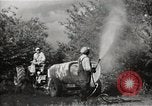 Immagine di Comunità meglio Georgia United States USA, 1946, secondo 47 filmato di repertorio 65675054179